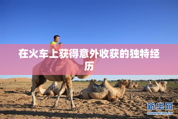 在火车上获得意外收获的独特经历