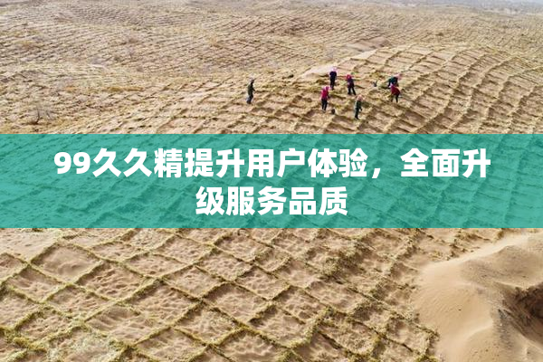 99久久精提升用户体验，全面升级服务品质