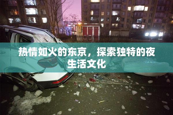 热情如火的东京，探索独特的夜生活文化
