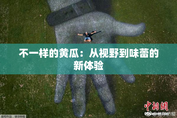 不一样的黄瓜：从视野到味蕾的新体验
