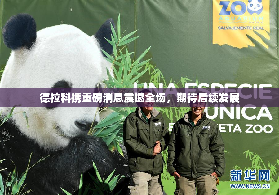 德拉科携重磅消息震撼全场，期待后续发展