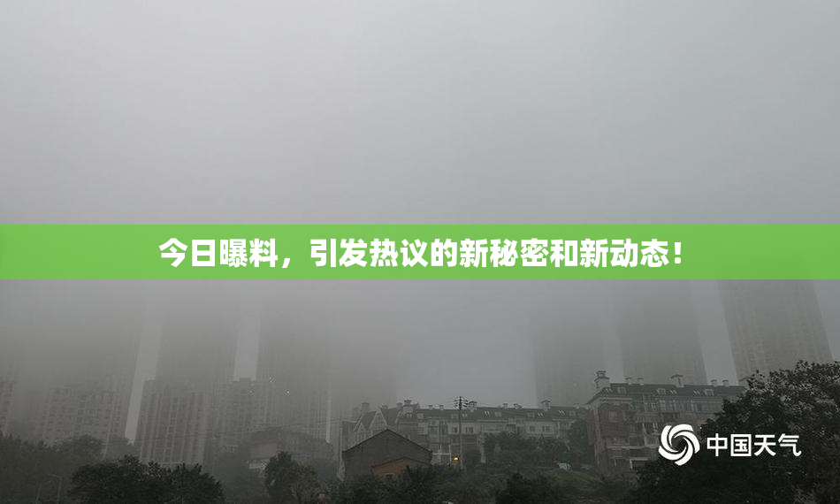今日曝料，引发热议的新秘密和新动态！