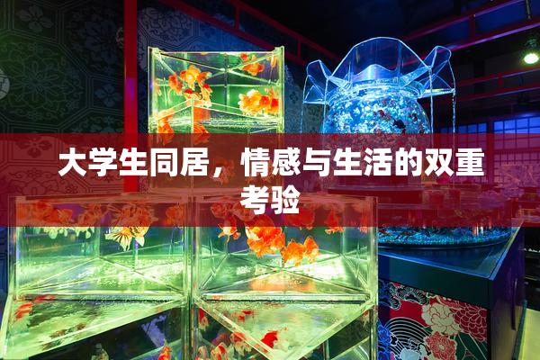大学生同居，情感与生活的双重考验