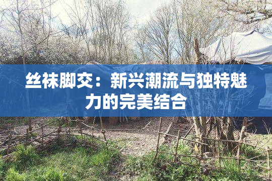 丝袜脚交：新兴潮流与独特魅力的完美结合