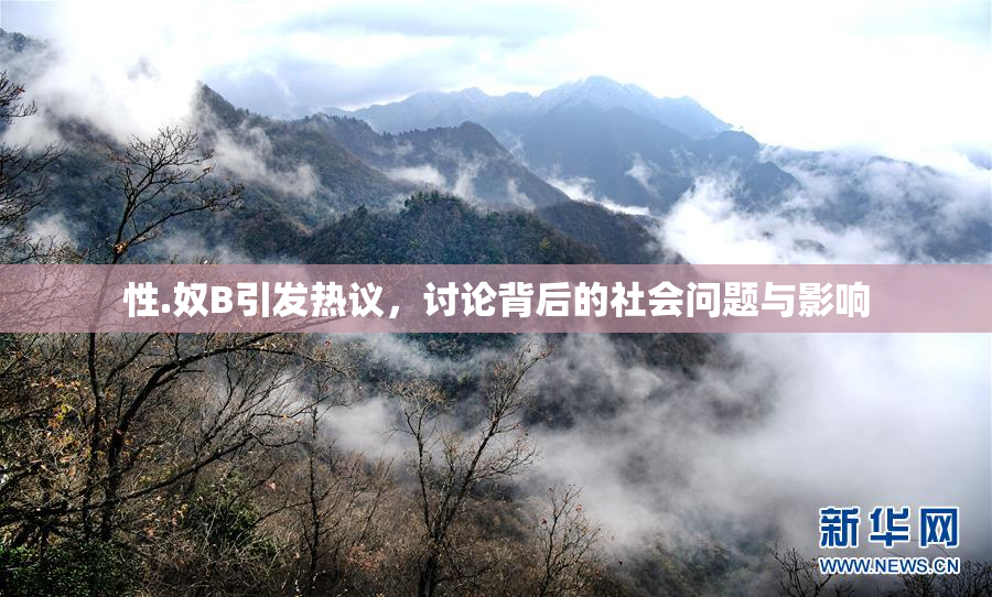 性.奴B引发热议，讨论背后的社会问题与影响