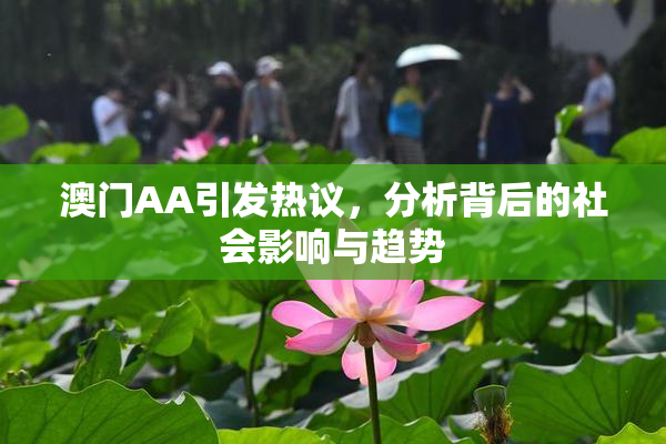澳门AA引发热议，分析背后的社会影响与趋势