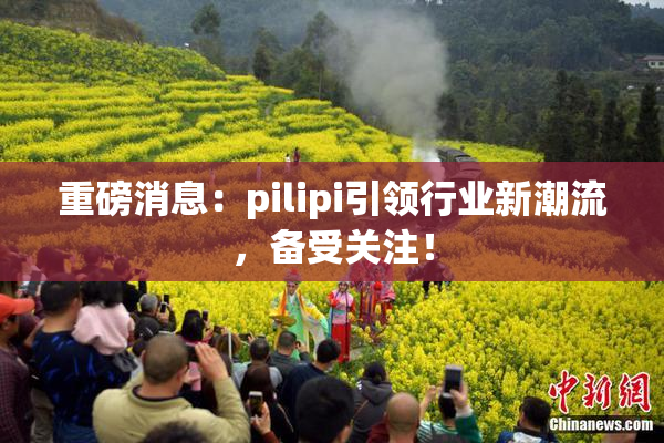 重磅消息：pilipi引领行业新潮流，备受关注！