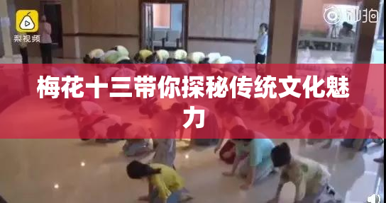 梅花十三带你探秘传统文化魅力