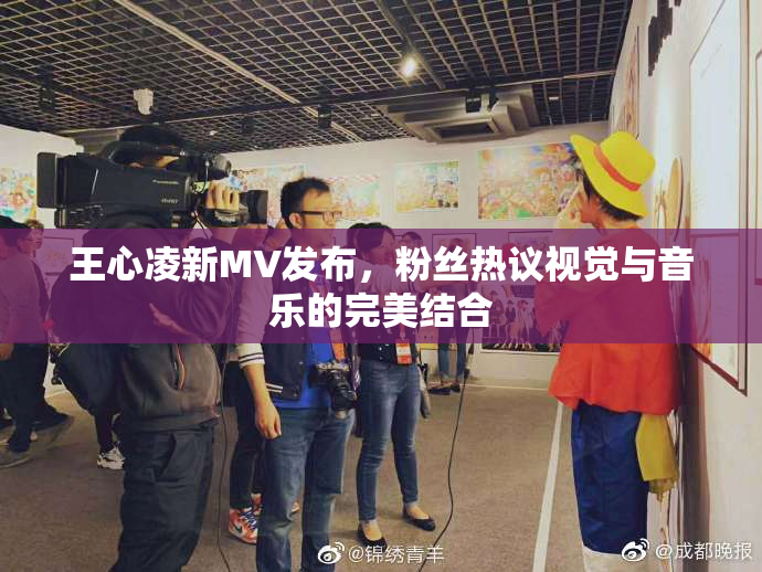 王心凌新MV发布，粉丝热议视觉与音乐的完美结合