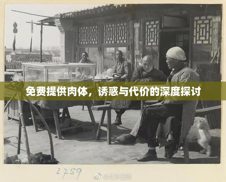 免费提供肉体，诱惑与代价的深度探讨
