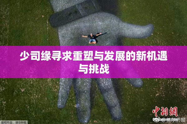 少司缘寻求重塑与发展的新机遇与挑战