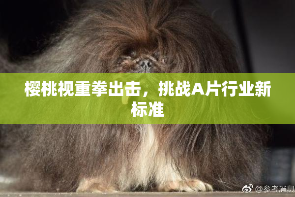 樱桃视重拳出击，挑战A片行业新标准