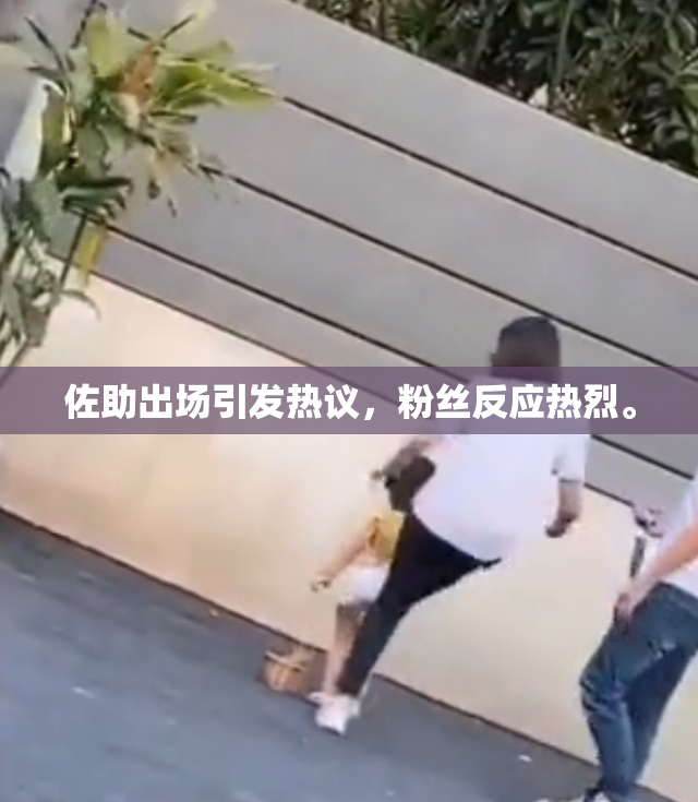 佐助出场引发热议，粉丝反应热烈。