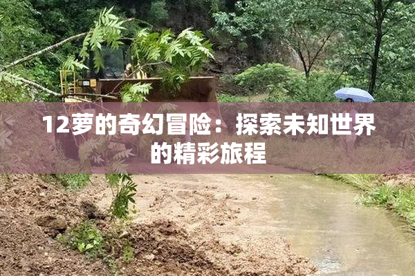 12萝的奇幻冒险：探索未知世界的精彩旅程