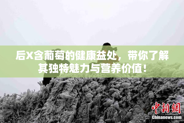 后X含葡萄的健康益处，带你了解其独特魅力与营养价值！