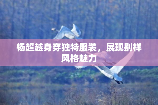 杨超越身穿独特服装，展现别样风格魅力