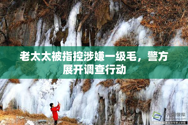老太太被指控涉嫌一级毛，警方展开调查行动