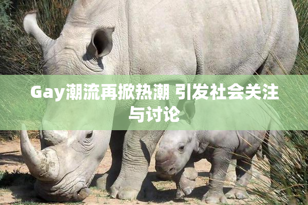 Gay潮流再掀热潮 引发社会关注与讨论
