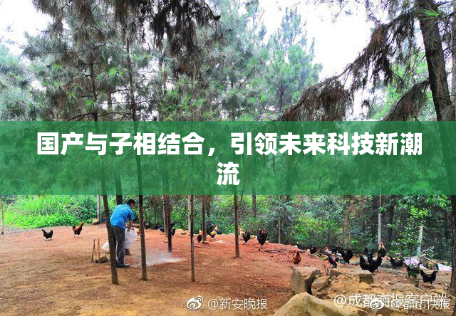 国产与子相结合，引领未来科技新潮流
