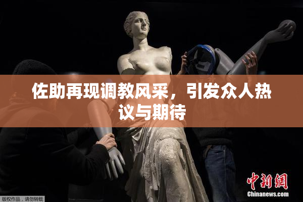 佐助再现调教风采，引发众人热议与期待
