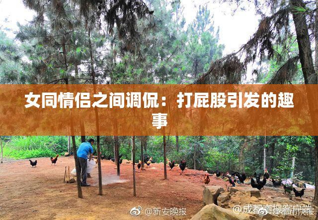 女同情侣之间调侃：打屁股引发的趣事