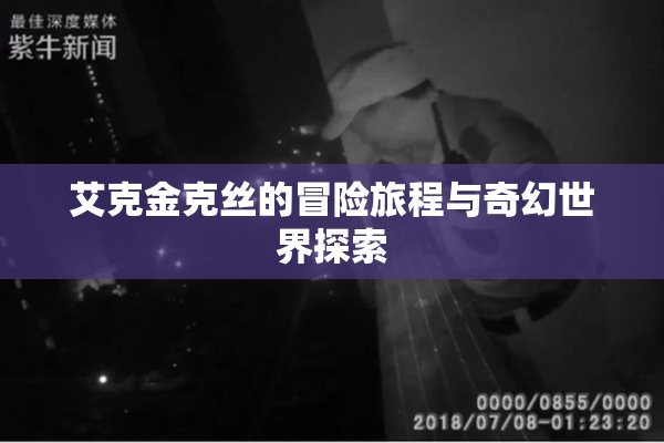 艾克金克丝的冒险旅程与奇幻世界探索