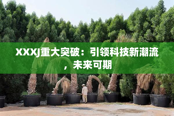 XXXJ重大突破：引领科技新潮流，未来可期