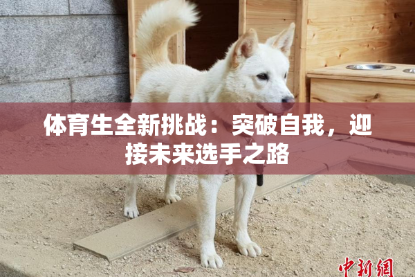 体育生全新挑战：突破自我，迎接未来选手之路