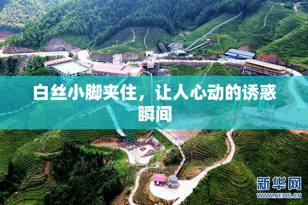 白丝小脚夹住，让人心动的诱惑瞬间