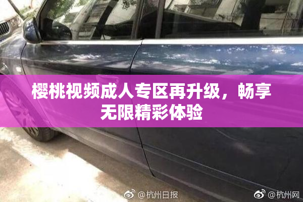 樱桃视频成人专区再升级，畅享无限精彩体验