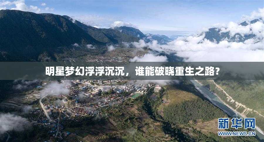 明星梦幻浮浮沉沉，谁能破晓重生之路？
