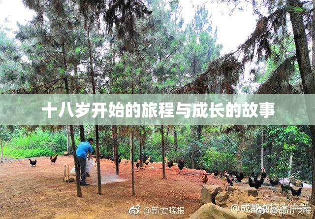 十八岁开始的旅程与成长的故事
