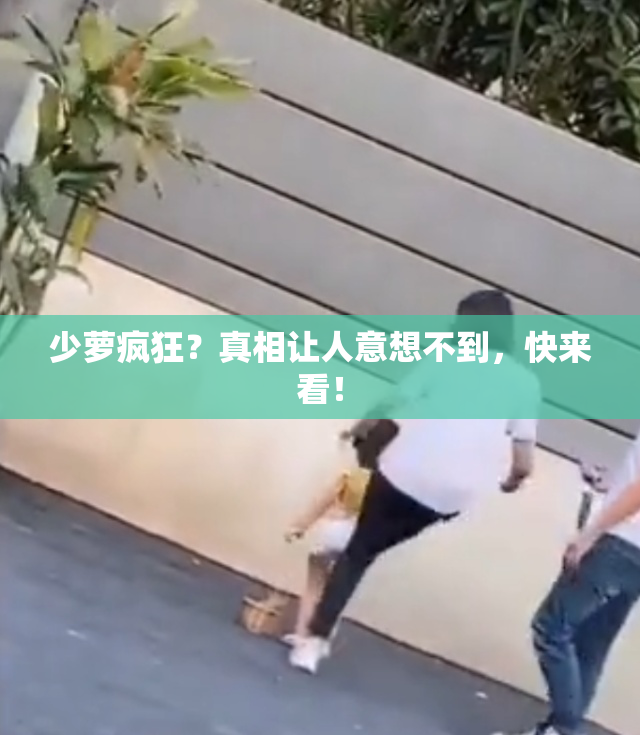 少萝疯狂？真相让人意想不到，快来看！