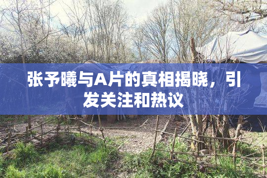 张予曦与A片的真相揭晓，引发关注和热议