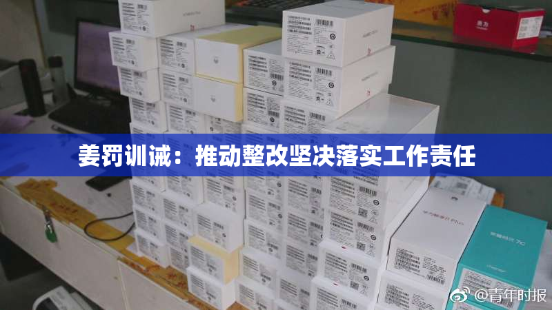 姜罚训诫：推动整改坚决落实工作责任
