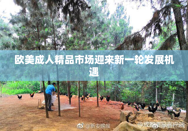 欧美成人精品市场迎来新一轮发展机遇