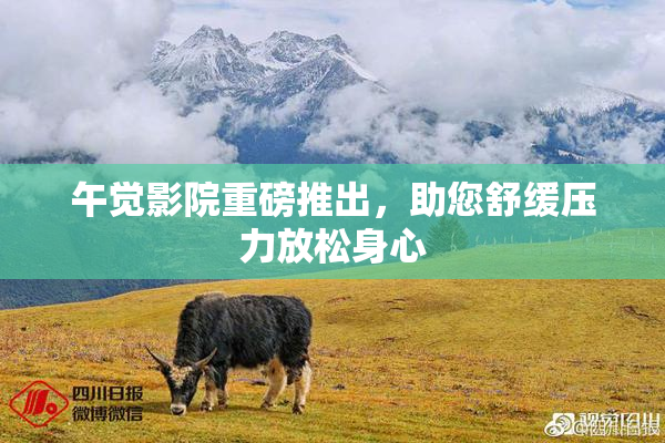 午觉影院重磅推出，助您舒缓压力放松身心