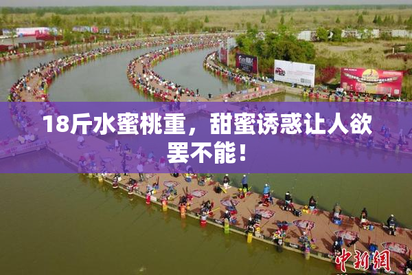18斤水蜜桃重，甜蜜诱惑让人欲罢不能！
