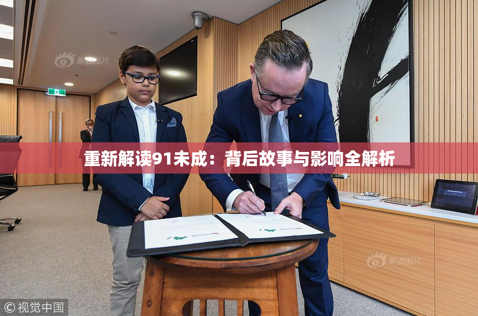 重新解读91未成：背后故事与影响全解析
