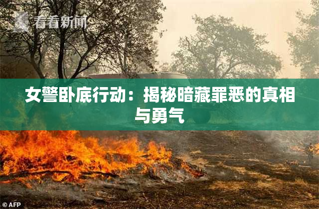 女警卧底行动：揭秘暗藏罪恶的真相与勇气
