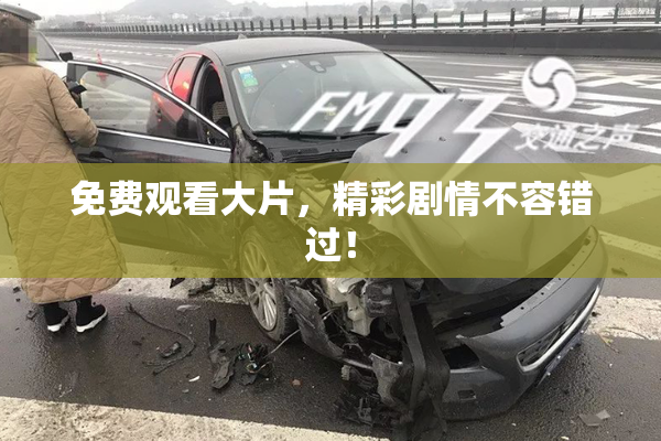 免费观看大片，精彩剧情不容错过！