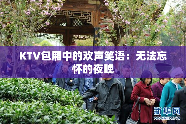 KTV包厢中的欢声笑语：无法忘怀的夜晚
