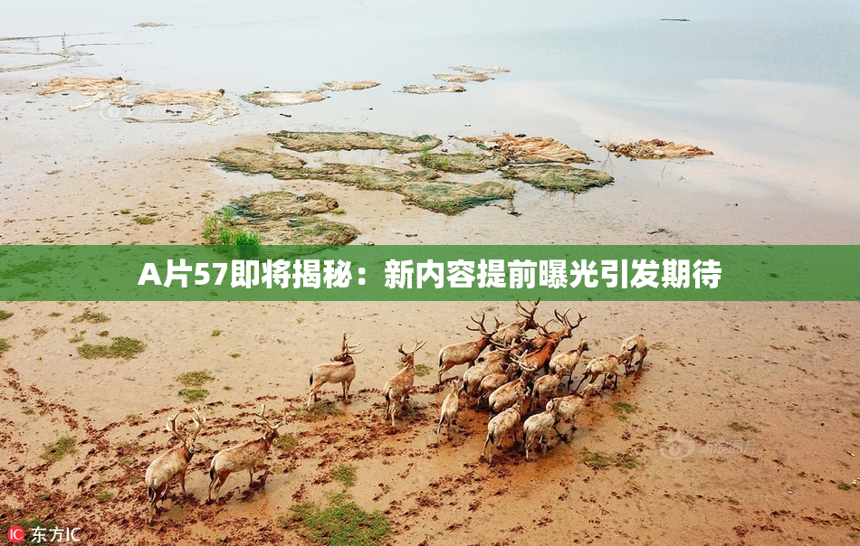 A片57即将揭秘：新内容提前曝光引发期待