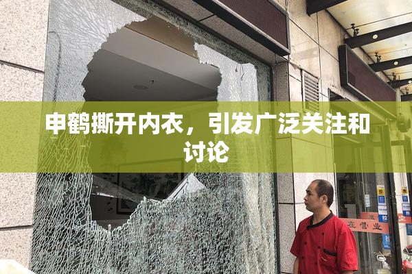 申鹤撕开内衣，引发广泛关注和讨论