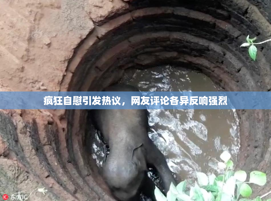 疯狂自慰引发热议，网友评论各异反响强烈