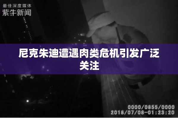 尼克朱迪遭遇肉类危机引发广泛关注