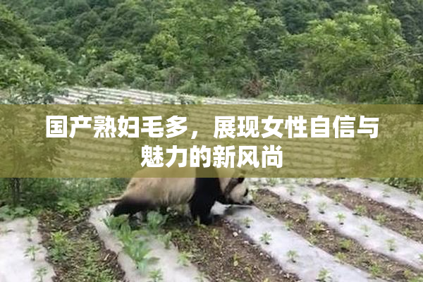 国产熟妇毛多，展现女性自信与魅力的新风尚