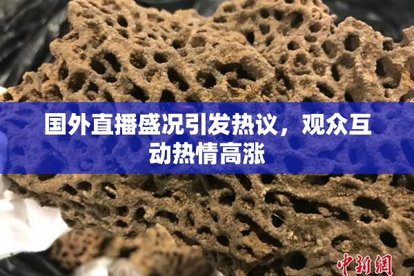 国外直播盛况引发热议，观众互动热情高涨