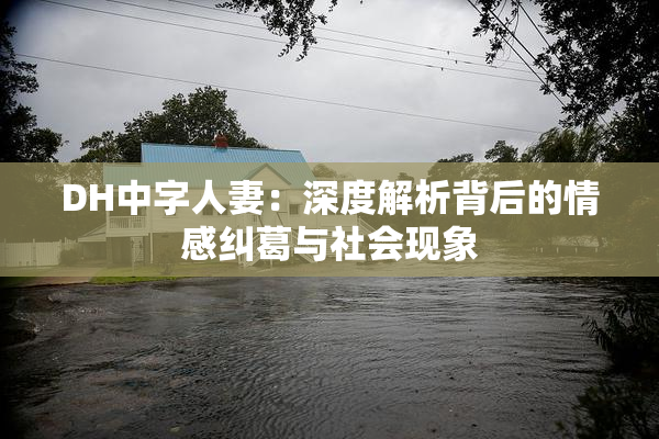 DH中字人妻：深度解析背后的情感纠葛与社会现象