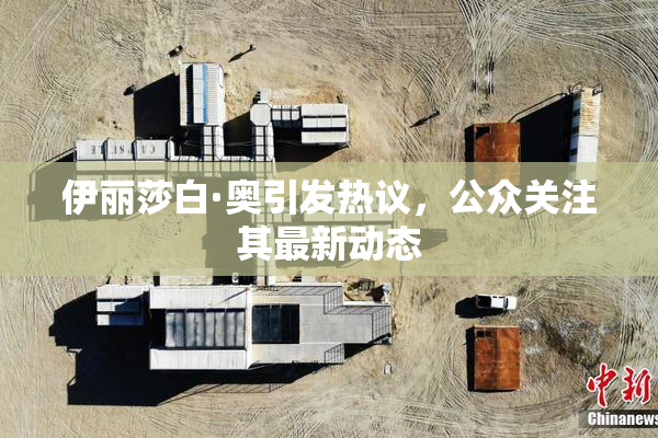 伊丽莎白·奥引发热议，公众关注其最新动态